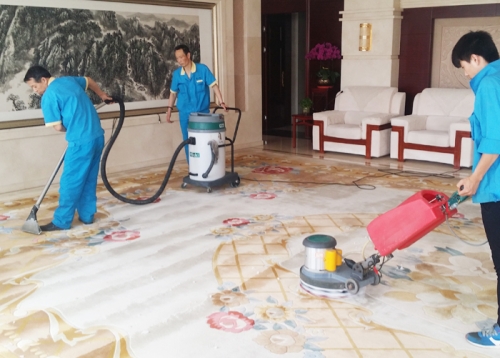 專業地毯清洗